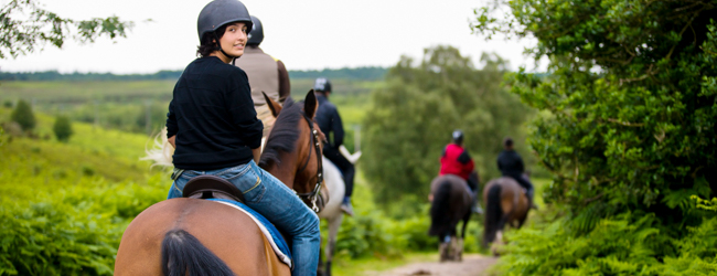 LISA-sprachreisen-schueler-englisch-bournemouth-park-pferd-reiten-freizeit-natur